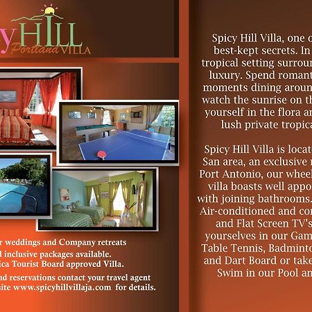 Spicy Hill Villa Port Antonio Habitación foto